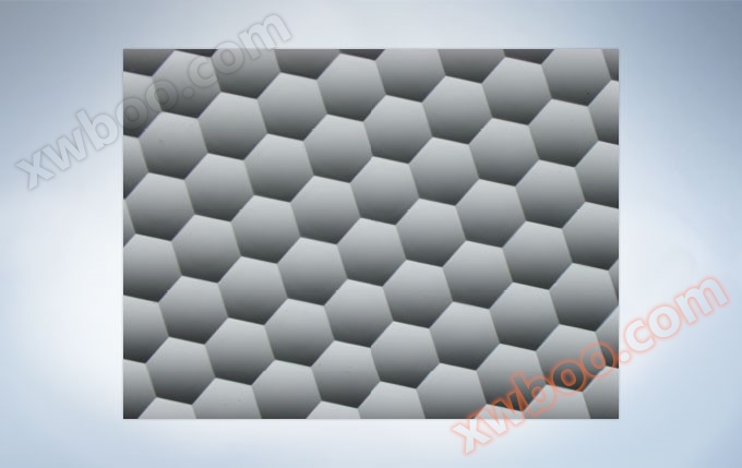 复眼透镜表面,放大的图像