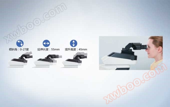 可调节高度的双目镜筒