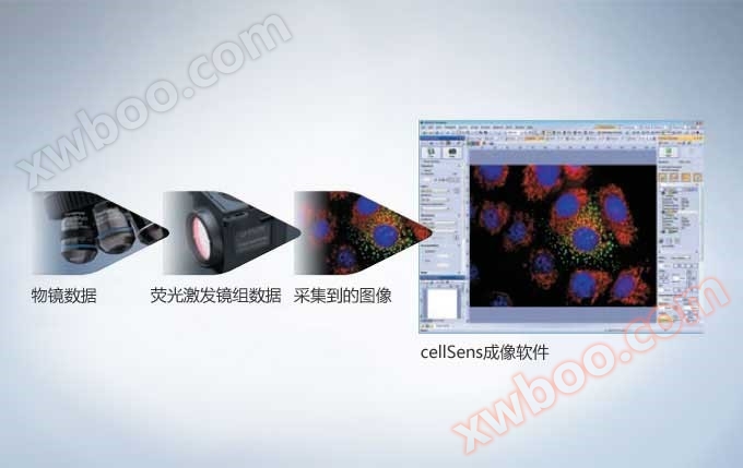 奥林巴斯cellSens软件