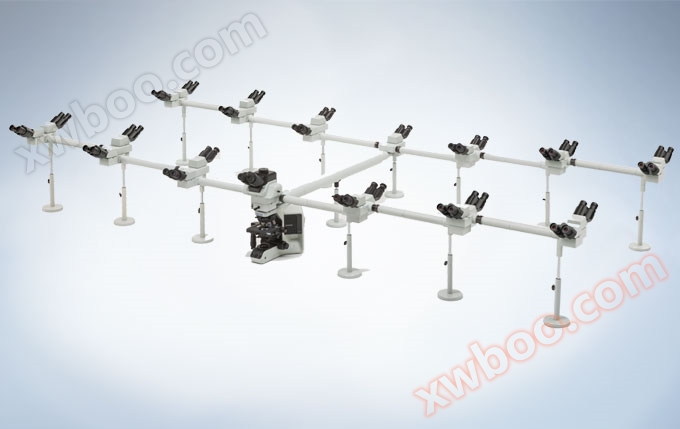 26人可同时观察